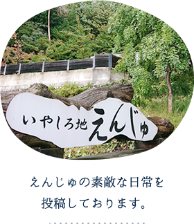 えんじゅの素敵な日常を投稿しております。